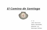 Gastronomía Camino de Santiago