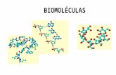Repaso de biomoleculas