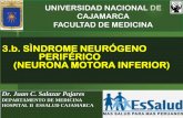 SINDROMES NEUROLOGICOS I - NEUROMA MOTORA INFERIOR