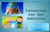 conservación ambiental