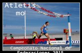 Atletismo: Cto. de España Federaciones Autonómicas