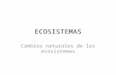 Ecosistemas 01