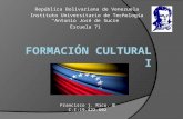 Cultura venezuela