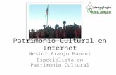 Patrimonio cultural en internet