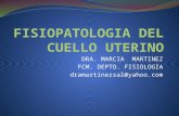 Fisiopatologia del cuello uterino FISIOPATOLOGIA I, PARCIAL 3