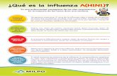 Prevención gripe ah1 n1