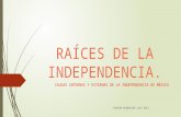 Raíces de la independencia