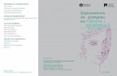 14a edició de la Diplomatura de Postgrau en Gènere i Igualtat