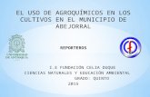 EL USO DE AGROQUÍMICOS EN LOS CULTIVOS EN EL MUNICIPIO DE ABEJORRAL