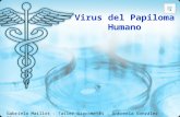 Virus del papiloma humano2