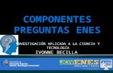 Componentes Preguntas ENES- Ivonne Becilla
