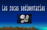 Pp Rocas Sedimentarias