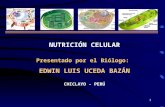nutrición celular