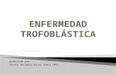 Enfermedad Trofoblastica