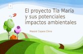 Proyecto Tía María - Massiel Copara