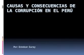 Causas y consecuencias de la corrupcion