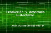 Producción  y  desarrollo sustentable