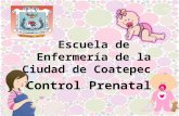 Control prenatal.