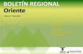 Boletín Regional Oriente Marzo 2015