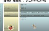 146 2 animales_clasificacion[1]