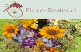 FloresReales.cl Presentación. La mejor floristería