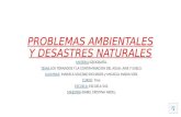 Problemas ambientales y desastres naturales