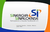 Clasificación de proyectos inscritos en Sinergia Sinaloense 2012