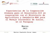 Experiencias de la Cooperación Alemana para el Desarrollo-GIZ en cooperación con el Ministerio de Agricultura y Ganadería-MAG para el Manejo Sostenible de Suelos, en el Paraguay