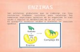 Enzimas, ADN, ARN Original