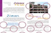 Celamex a tu lado enero 2012 web
