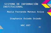 Sistema de información institucional