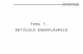 Reticulo Endoplasmico1