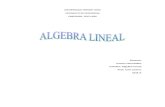 Trabajo  algebra lineal