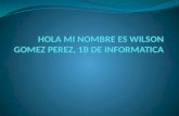Hola Mi Nombre Es Wilson Gomez Perez,