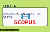 Tarea 6-SCOPUS12
