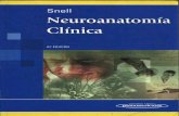 Snell neuroanatomiaclinica