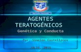 Tarea10 agentesteratogenicos