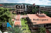 Cultura ciudadana 2014 keila rodriguez