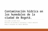 Contaminación hídrica en los humedales de la ciudad de Bogotá