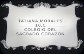 Tatiana morales presentacion