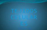 TEJIDOS CELULARES