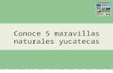 Conoce 5 maravillas naturales yucatecas