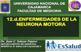 ENFERMEDADES DE LA NEURONA MOTORA - ESCLEROSIS LATERAL AMIOTROFICA (ELA)