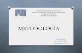 Diapositivas metodologia