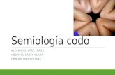 semiología y patologías del codo