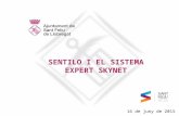 Sentilo i el sistema expert Skynet