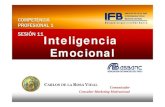 Inteligencia Emocional Ifb Competencia S