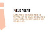 Field Agent Mexico