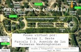 Parque Amate (Sevilla): itinerario botánico por la parcela I-3 (Avenida de las Palmeras Washingtonias)
