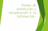 Formas de protección y recuperación e la información
